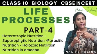 Life Processes Class 10  Biology  Nutrition Part4 [upl. by Aneekan]