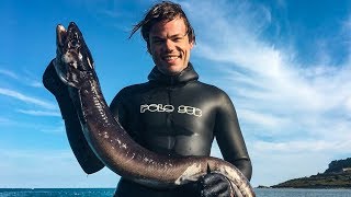 Catch and Cook Conger Eel  Spearfishing England United Kingdom [upl. by Howell]