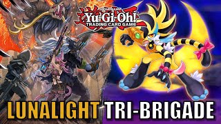 TIGER MAKES THIS DECK REALLY GOOD  YuGiOh  LUNALIGHT TRIBRIGADE DECK PROFILE amp COMBOS 遊戯王 [upl. by Ru]