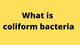 coliform bacteria क्या हैcoliform bacteriacoliform bacteria in Hindicoliform bacteria in water [upl. by Adalai869]