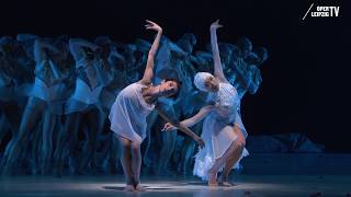 »SCHWANENSEE«  LEIPZIGER BALLETT [upl. by Preston]