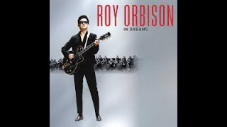 In DreamsRoy Orbison Stereo1 1963 7 [upl. by Parrie]