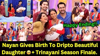 Trinayani Zee World Weekly Teasers From 10th To 17th November 2024 Teaser Update In English [upl. by Renfred715]