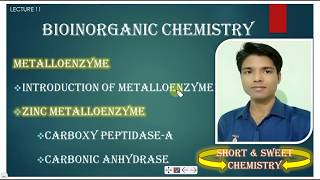 HINDI LECT11 CARBOXY PEPTIDASEA CARBONIC ANHYDRASE BIOINORGANIC CHEMISTRY CSIR JRF NET amp GATE [upl. by Aluino]