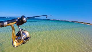 Fishing Clean Australian Beaches Exploring NEW Spots [upl. by Sivie]