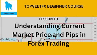 Master Forex Basics Current Market Price amp Pips Explained [upl. by Noramac]