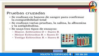 𝗖𝗨𝗥𝗦𝗢 𝗚𝗥𝗔𝗧𝗨𝗜TO LABORATORIO CLÍNICO EN HEMATOLOGÍA📚 [upl. by Sucramrej556]