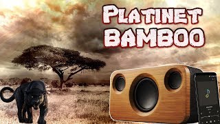 Platinet BAMBOO 21 Speakers  test recenzja review bardzo eleganckiego głośnika BT [upl. by Yramanna]