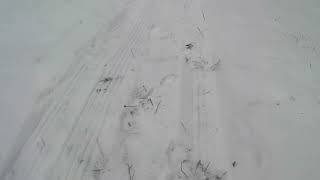 early spring sledding Whaleback mountain [upl. by Barger]