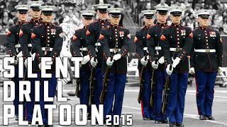 Silent Drill Platoon Performs At Halftime  Texans vs Jets [upl. by Coreen]