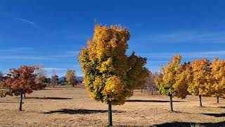 Fall Weather Colorado Springs Colorado [upl. by Siron]