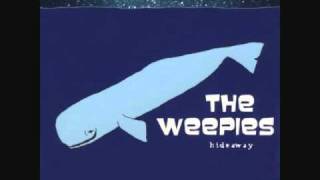 The Weepies  Antarctica [upl. by Illac]