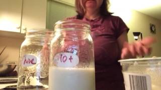 Making Kefir and Yogurt with Live bacteria and 10 Atomy Probiotics part 1 [upl. by Kciredorb83]