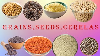 Grains Vocabulary l Grains Seeds amp Cereals Name In English With PicturesChetankidsstudy [upl. by Alric774]