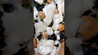 PINSA CON CHICCHE DI SALSICCIA FRIARIELLI E BUFALA short shorst shortvideo [upl. by Pettiford721]