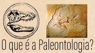 O que é a Paleontologia [upl. by Paulson]