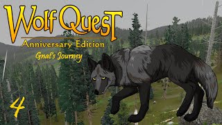 Risk and Consequence  WolfQuest Ultra Ironwolf Gnats Journey 4 [upl. by Ahsemit]