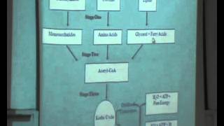 2Bioenergetics DrHanan Hosni 2992015Metabolic pathwayATP ADP cycle [upl. by Bazluke]