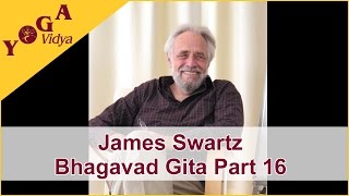 James Swartz Part 16 Lecture about Bhagavad Gita [upl. by Vyse851]