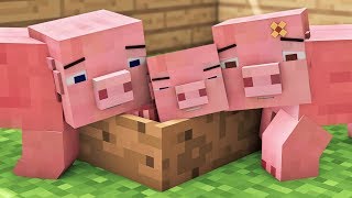 Pig Life  Minecraft Animation [upl. by Hough]