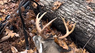 Georgia whitetailed deer Hunt Public land Bonus buck [upl. by Rattray]