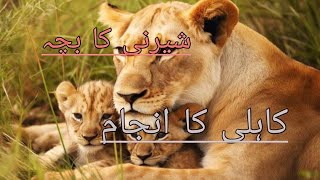 Kahili ka Anjaam  Shairni ka bacha  Urdu story [upl. by Notseh]