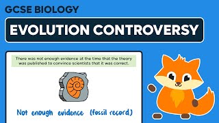 Theory of Evolution Controversy  GCSE Biology [upl. by Donn886]