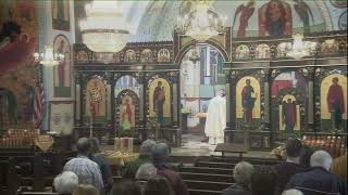 November 12 2023 Divine Liturgy  Saint Ann Byzantine Catholic Church [upl. by Gnouc]