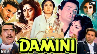 Damini 1993 Full Movie  Sunny Deol  Meenakshi Seshadri  Amrish Puri  Rishi Kapoor Review amp Fact [upl. by Arrec338]