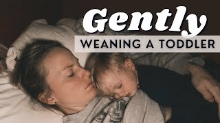 Gently weaning a toddler from nursing  18 months old [upl. by Alien]