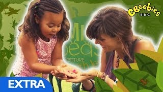 CBeebies Grownups Mini Beast Adventure with Jess  Behind the scenes [upl. by Horten548]