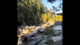 Whistler BC hike near the train wreck [upl. by Finstad]