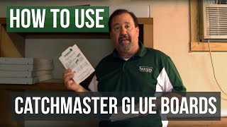 How To Use Mouse Glueboards Catchmaster 72mb [upl. by Settle186]