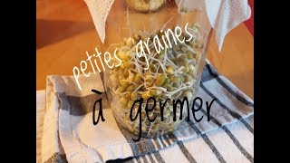 FAIRE GERMER SES GRAINES AVEC UN GERMOIR FAIT MAISON [upl. by Herrington]