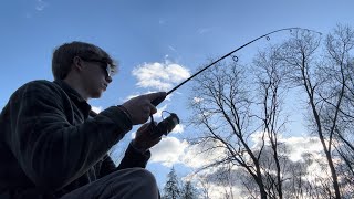 fishing panfishing freshwaterfish fish Nice BlueGill [upl. by Philemol]