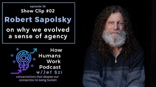 Robert Sapolsky On why we evolved a sense of agency [upl. by Duj670]