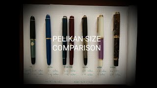 Pelikan Size Comparison [upl. by Ainslie]