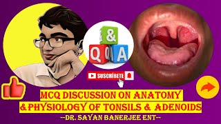 Tonsils amp Adenoids Anatomy amp Physiology MCQ Breakdown [upl. by Yeslek391]