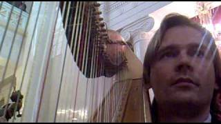 Inside the orchestra harp difficulties vol 1 [upl. by Yekcaj]