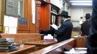 Davening Maariv in the Shomer Shabbos Shul in Boro Park Brooklyn [upl. by Benedicta440]