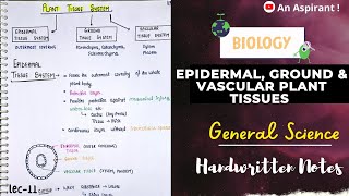 Epidermal Ground Vascular  Plant Tissues System  Biology  General Science  Lec11 [upl. by Rafe]