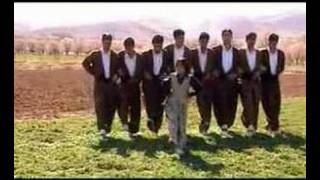 Kürtce Halay Dügün  Kurdish Wedding Dance Halparke [upl. by Charmain]