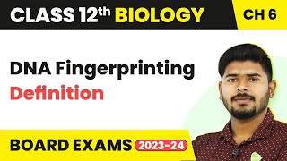 DNA Fingerprinting Definition  Molecular Basis of Inheritance  Class 12 Biology 202223 [upl. by Jeffry14]