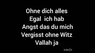 Veysel ohne dich lyrics [upl. by Ches]