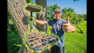 HOW TO HANG TREESTANDS Mobile Hunting Setup [upl. by Theola]