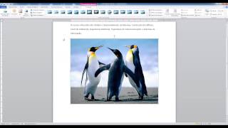 2 Tutorial de Word Avançado  Espaçamento Quebra de Página e Imagem [upl. by Riegel]