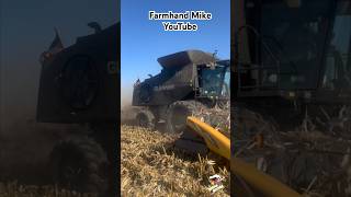 Stealth Gleaner Super 7 combine Harvesting corn in Ohio [upl. by Chris]