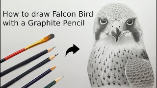 How to draw Realistic Falcon Bird with a Graphite Pencil  Realistic Pencil Art [upl. by Ribble]