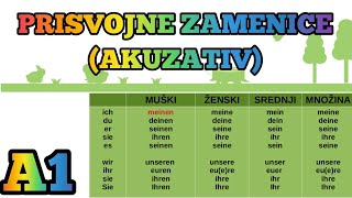 A1 LEKCIJA 19 ●PRISVOJNE ZAMENICE U AKUZATIVU [upl. by Namaj976]