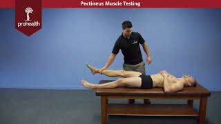 Pectineus Muscle Test Palpation Dr Vizniak Muscle Manual [upl. by Aluap190]